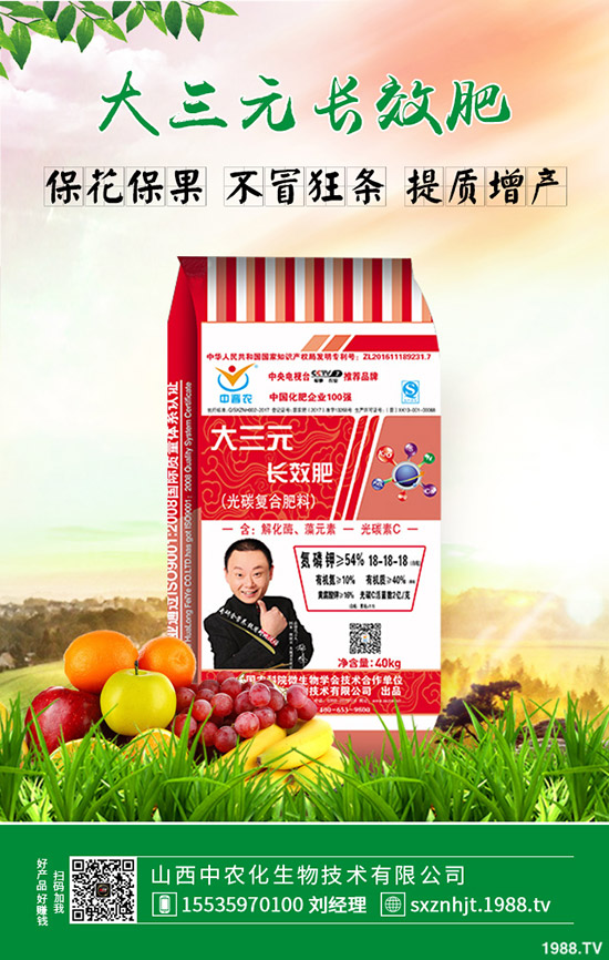     大棚早春茬西瓜如何育苗？大棚早春茬西瓜種植管理方法有哪些？