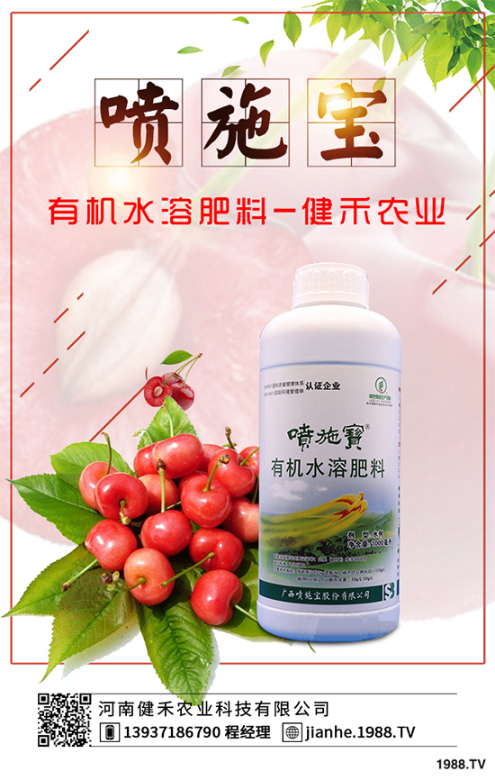 庭院種植竹子好在哪里？種植竹子的技巧與禁忌