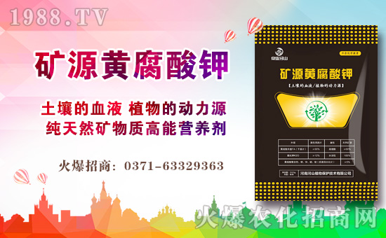 ����ɽֲ�ףԸ�V��(j��ng)�N�����т�?c��)��µ�һ�����w�������H�Қg��(l��)��