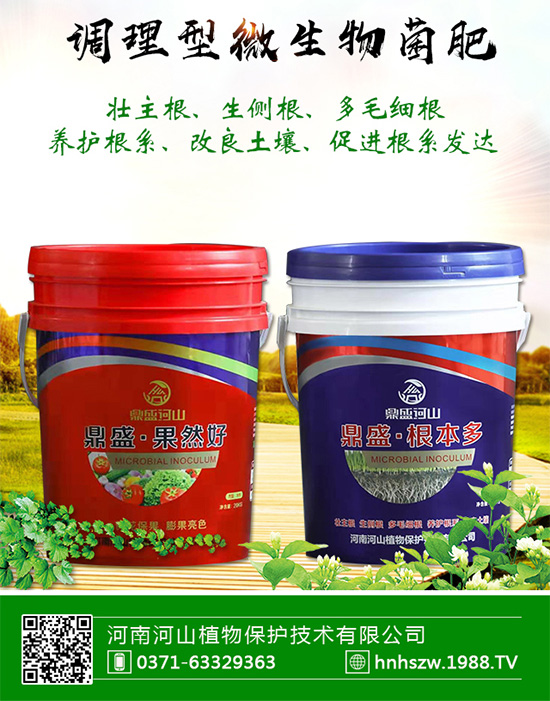 ����ɽֲ�ףԸ�V��(j��ng)�N�����т�?c��)��µ�һ�����w�������H�Қg��(l��)��