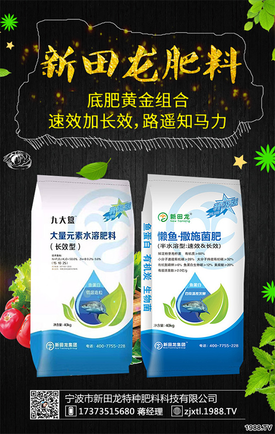 ����������������ף������µ�һ�������w�������f��������