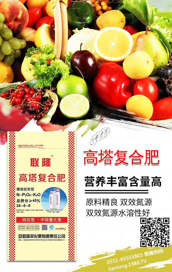 ��(li��n)¡���ʡ�ף������µ�һ�������w�������f��������