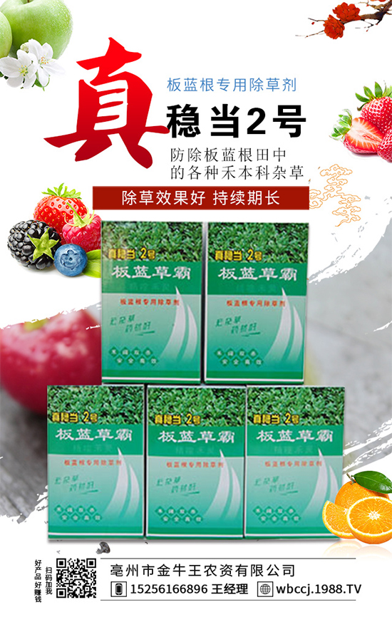     ����ţ����ף�V���N�����т����µ�һ������t����ؔԴ�V�M��