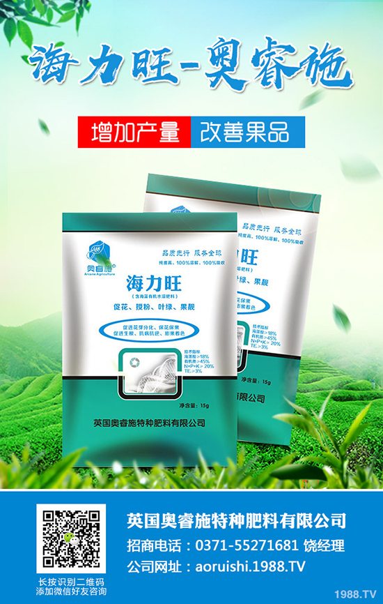 臍橙種植對環(huán)境有哪些要求？臍橙種植要點(diǎn)有哪些？