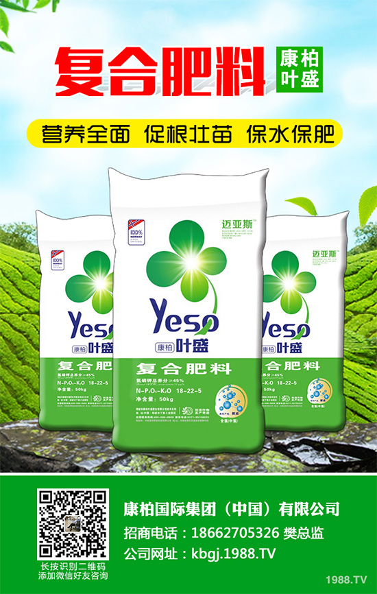 芹菜斑枯病有哪些危害癥狀？芹菜斑枯病的危害及防治