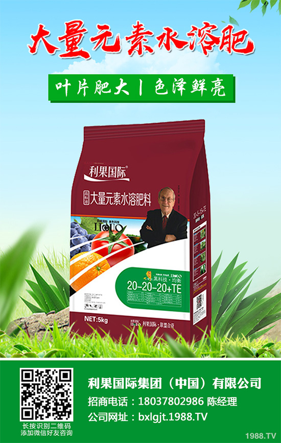     芹菜斑枯病有哪些危害癥狀？芹菜斑枯病的危害及防治