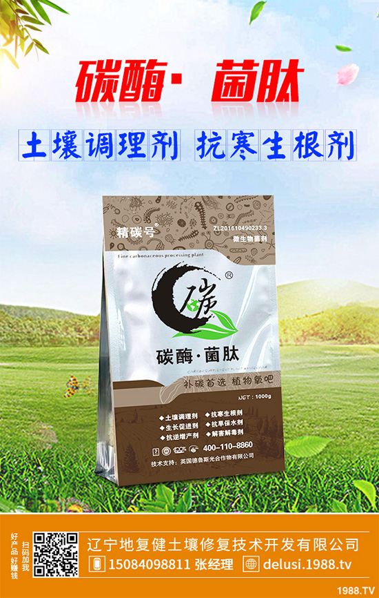     芹菜斑枯病有哪些危害癥狀？芹菜斑枯病的危害及防治