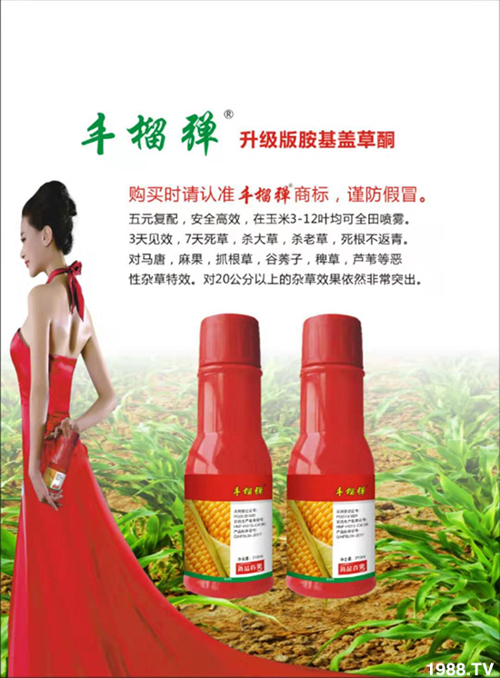 �����ϼ�������ף�����������ͥ���M���f(w��n)��������