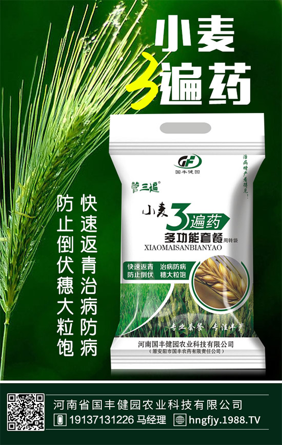 �����S���@��ף������µ�һ�������w�������f��������