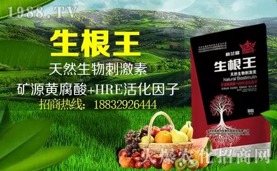 ���������ף������µ�һ�������w�������H�Қg����