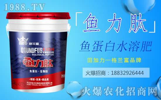 ���������ף������µ�һ�������w�������H�Қg����