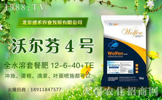 ��ʢ���r(n��ng)�I(y��)��ףȫ��(gu��)��(j��ng)�N������옷���f�����������꼪����