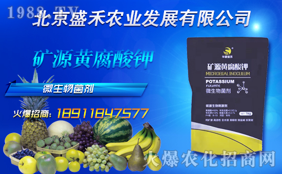 ��ʢ���r(n��ng)�I(y��)��ףȫ��(gu��)��(j��ng)�N������옷���f�����������꼪�飡