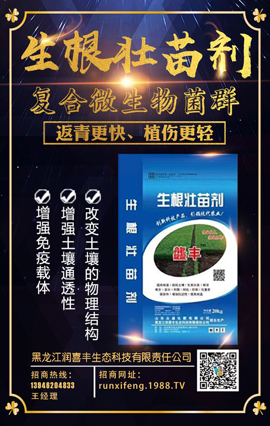 ����������ϲ�S��ף�V��(j��ng)�N��2020���I(y��)�v�w�������������ã�