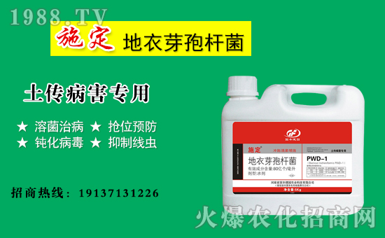 �����S���@��ף������µ�һ�������w�������f�����⣡