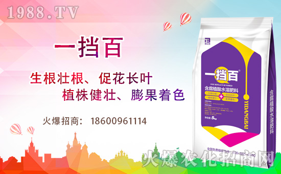 ���̩���ף���2020������옷��Ц�ڳ��_��ؔԴ�L�L��