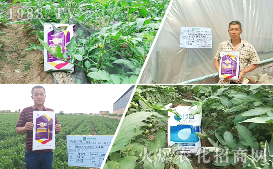 ���̩���ף���2020������옷��Ц�ڳ��_��ؔԴ�L�L��