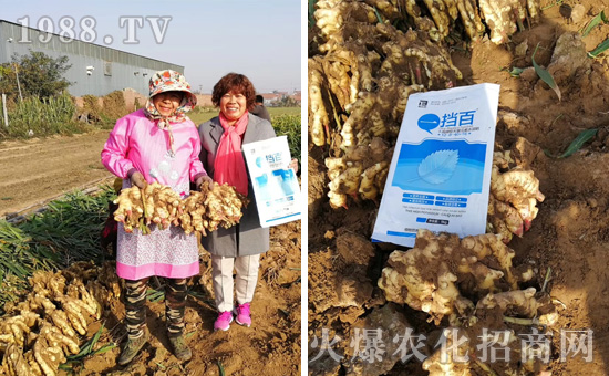 ���̩���ף���2020������옷��Ц�ڳ��_��ؔԴ�L�L��