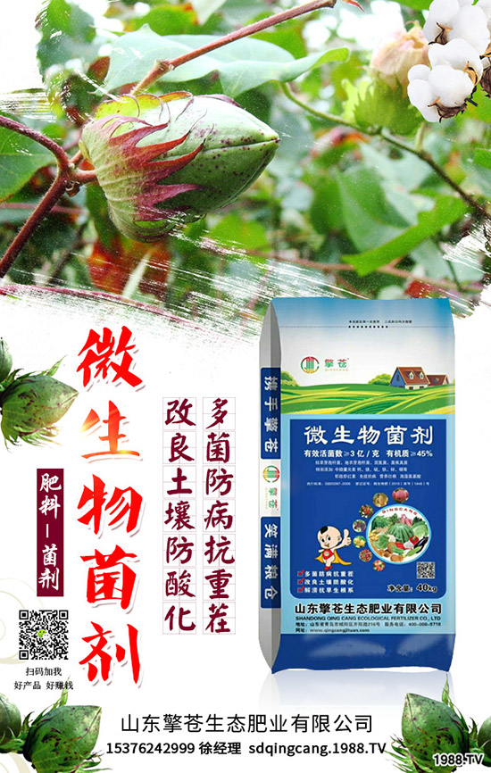     春節(jié)來臨！2020年1月尿素能否挺價？尿素行情走勢預測！