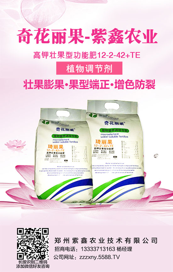 學會龍眼的施肥管理,龍眼增產(chǎn)不再憂!