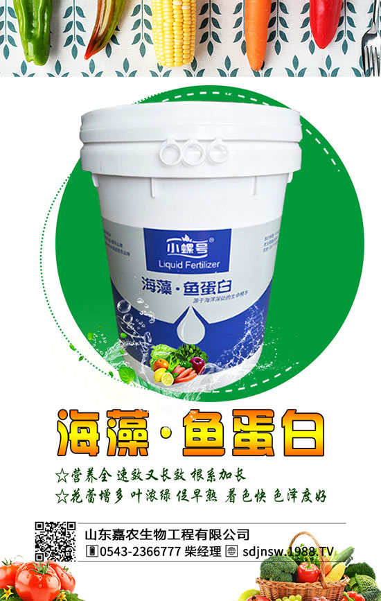 黃花菜什么季節(jié)種植好？2020年黃花菜種植前景及利潤分析！