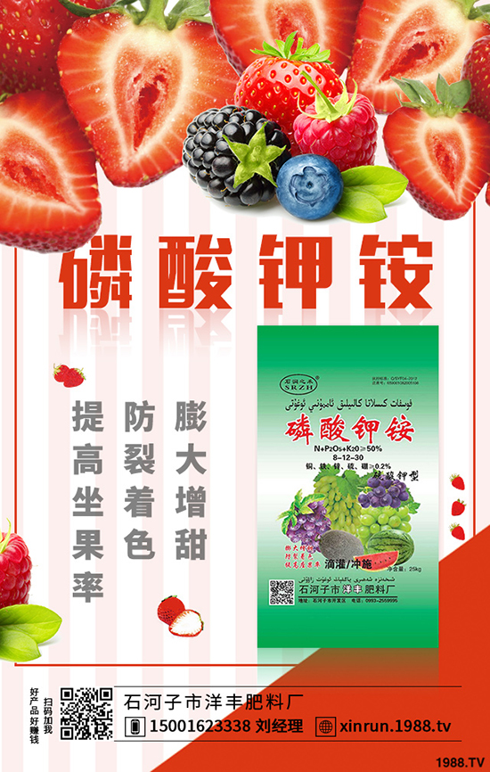 榨菜要高產(chǎn)，合理種植是關(guān)鍵！榨菜高產(chǎn)栽培看這里！