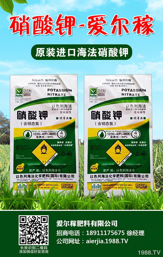 常吃蘆筍對(duì)人體有哪些好處？蘆筍的功效作用及營(yíng)養(yǎng)價(jià)值