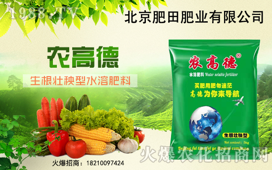 ���������ף������µ�һ������옷��Ц�ڳ��_��ؔԴ�V�M(j��n)��