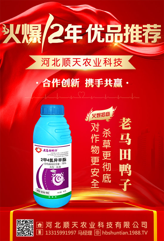 ���ӱ���졿ף���Ͽ͑��´��옷���H�Қg����