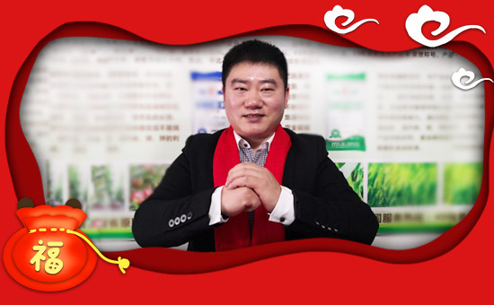 ����������ϡ�ף������µ�һ�������w���������������