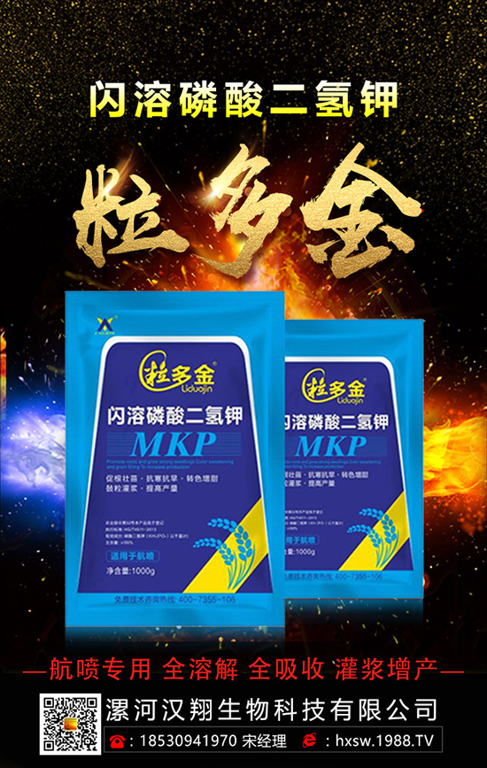 柚子如何種植拔高產(chǎn)量呢？柚子的科學(xué)種植方法！