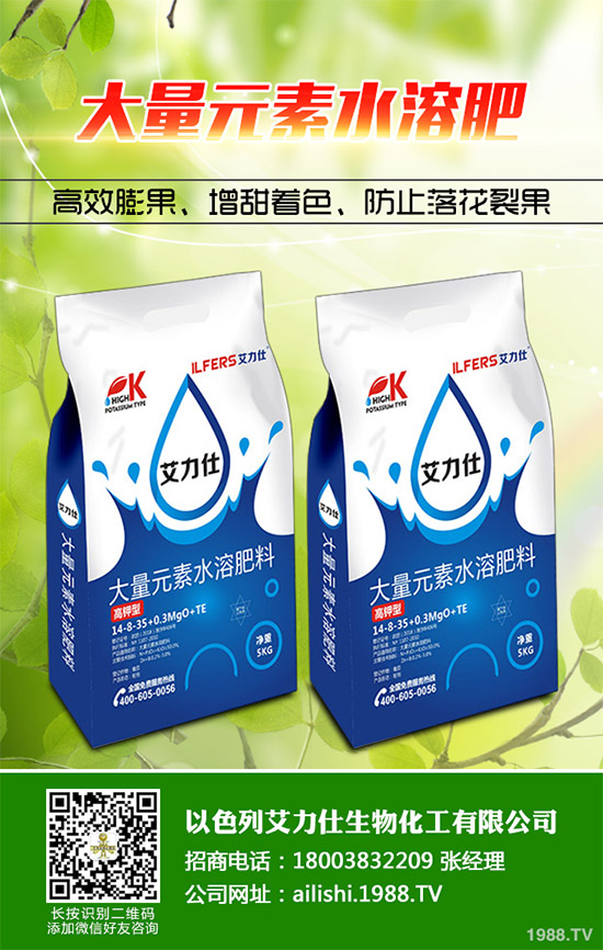 芹菜根腐病是如何發(fā)生的？該怎樣防治？快來看看吧！