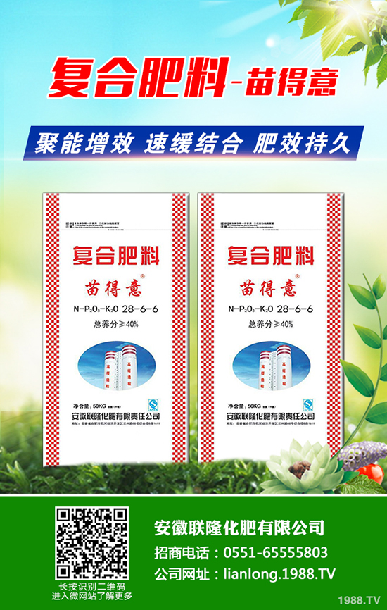 種植黑老虎賺錢嗎？種植前景及市場行情如何？一畝田投入成本多少？