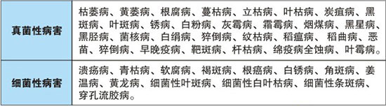 ���GԴ�r(n��ng)����ף������옷���f�����⣡�I(y��)�г���֥���_����(ji��)��(ji��)����