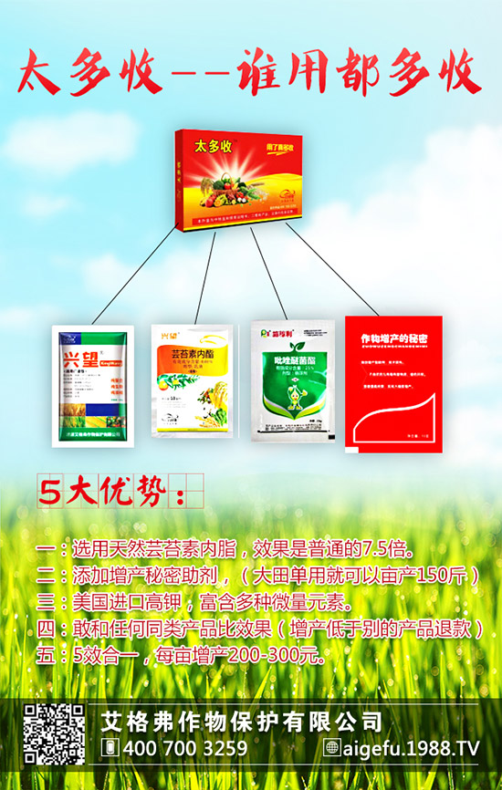 龍眼的種植要求有哪些？龍眼的種植要點！