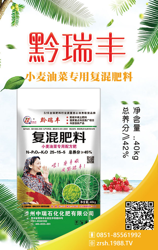 生菜的施肥原則有哪些？其中的作用是什么？