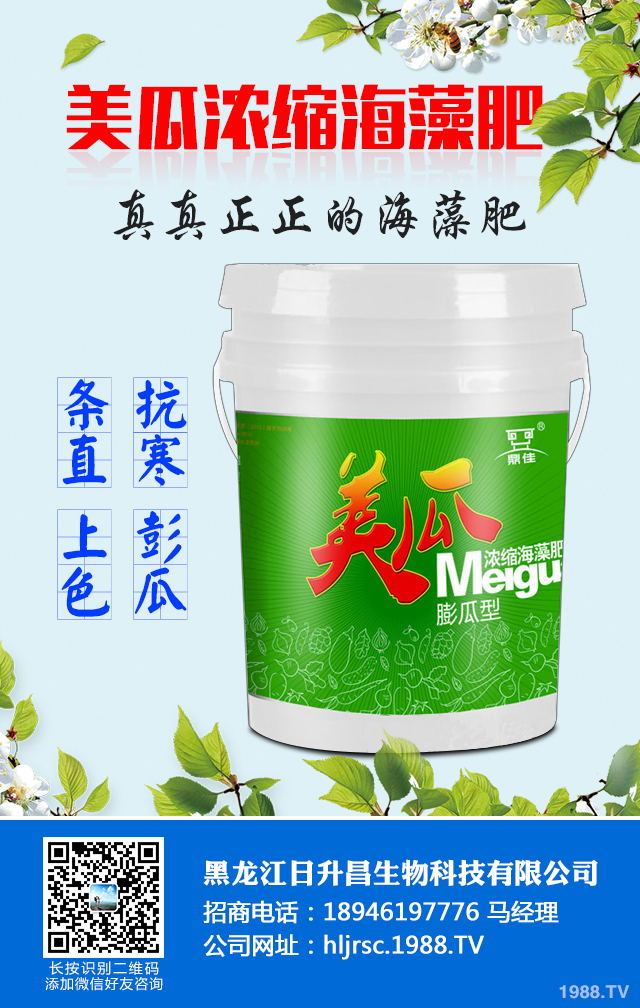 2020年種植什么蔬菜能掙錢？2020年蔬菜種植前景分析