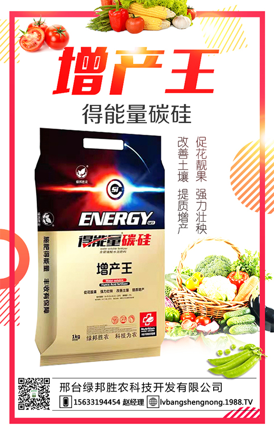 ���G����r(n��ng)����ףȫ�����񴺹�(ji��)�옷���Ҹ�������