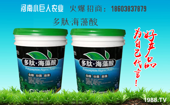 ������С�����r(n��ng)�I(y��)��ף������µ�һ���﹤�����������������