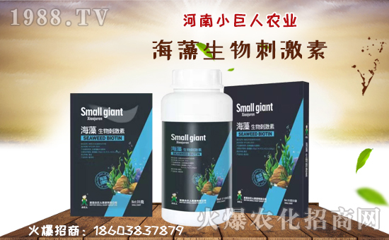 【河南小巨人農(nóng)業(yè)】祝大家在新的一年里工作順利,步步高升!