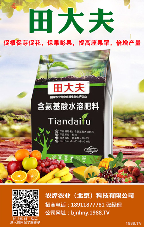 種植什么水果會賺錢？2020年水果種植指南