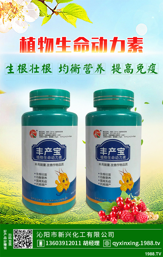 怎樣才能種好大白菜？大白菜高產(chǎn)種植技術(shù)要點(diǎn)