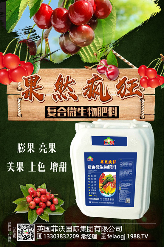 如何種植糯玉米才能實現(xiàn)高產(chǎn)？糯玉米種植要點有哪些