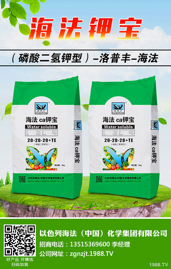 怎樣做好冬季梨樹修剪,梨樹冬季修剪的時間及方法!