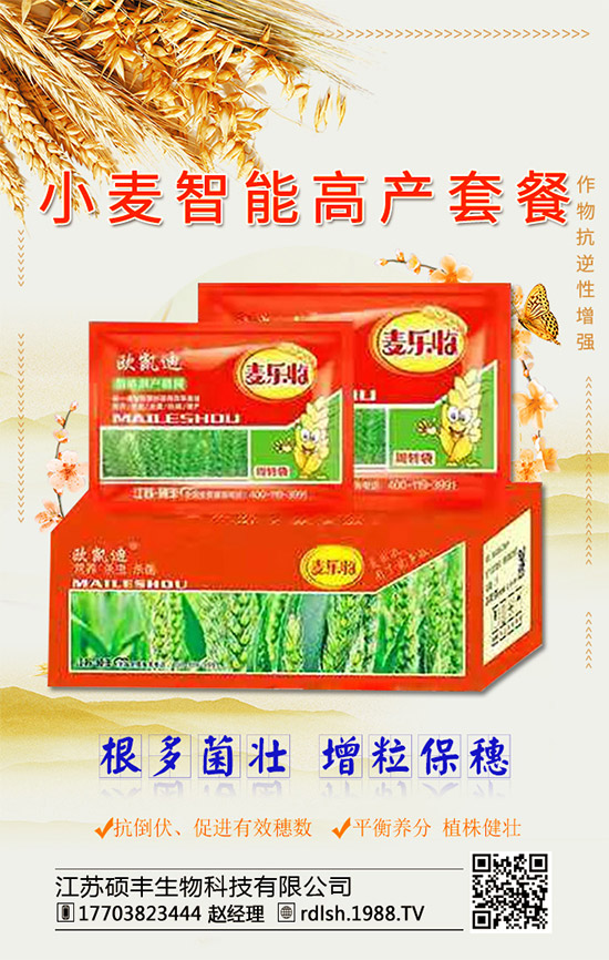 �����K�T�S���ף���2020�����w�����������d�����H���Ҹ���