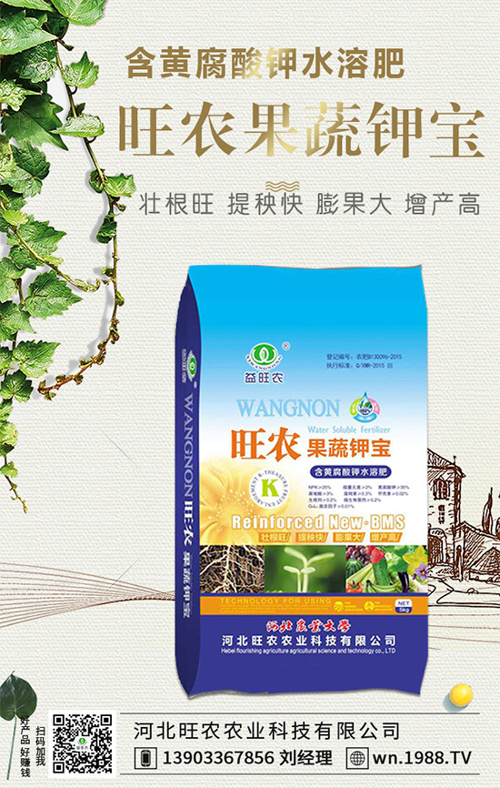 郁金香生長習(xí)性有哪些？郁金香養(yǎng)護(hù)要點(diǎn)！