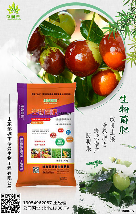 西蘭花什么時候種植？西蘭花種植注意事項！