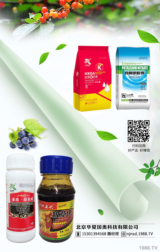 辣椒幼苗凍害預(yù)防方法