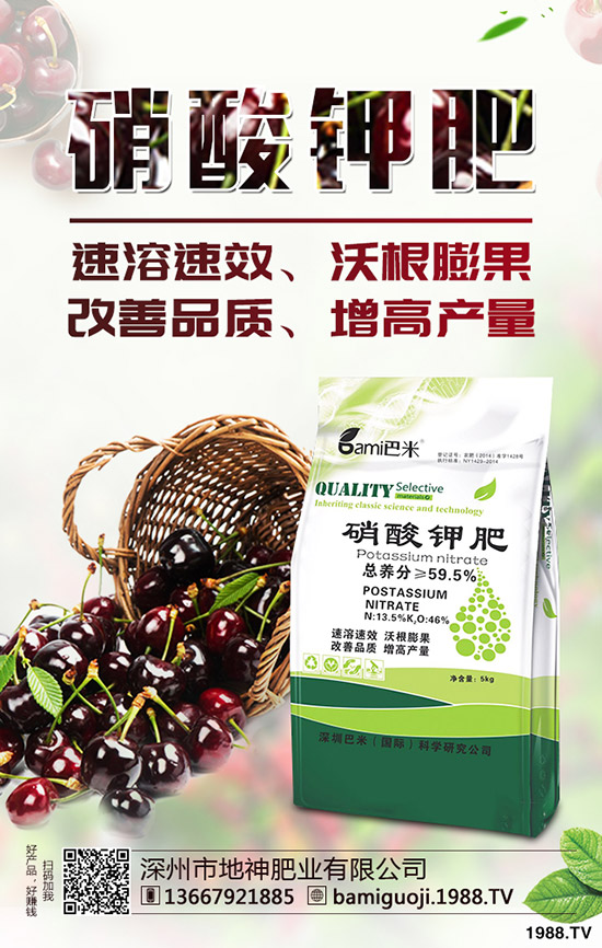 好吃的釋迦果要如何種植？釋迦果種植時(shí)間及方法！