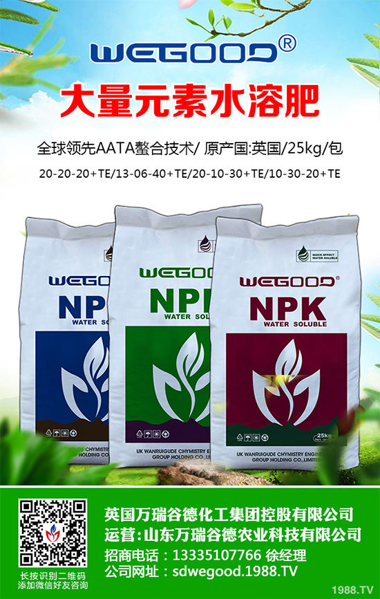 露地辣椒什么時候種植?露地辣椒高產(chǎn)種植技術(shù)